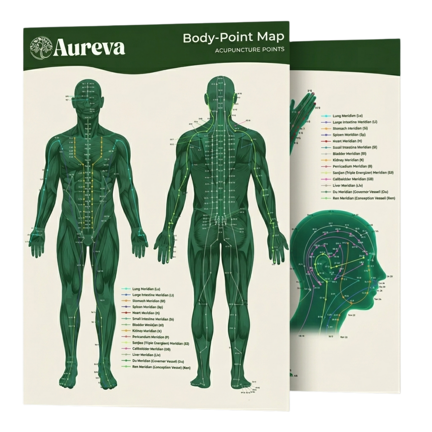 Guía de Alivio Corporal Aureva